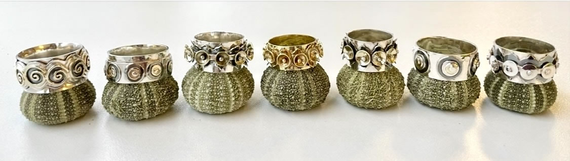 Zee-egel met ringen